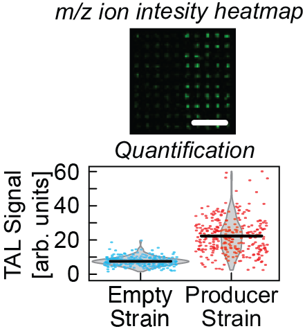 Population Heterogeneity Detection